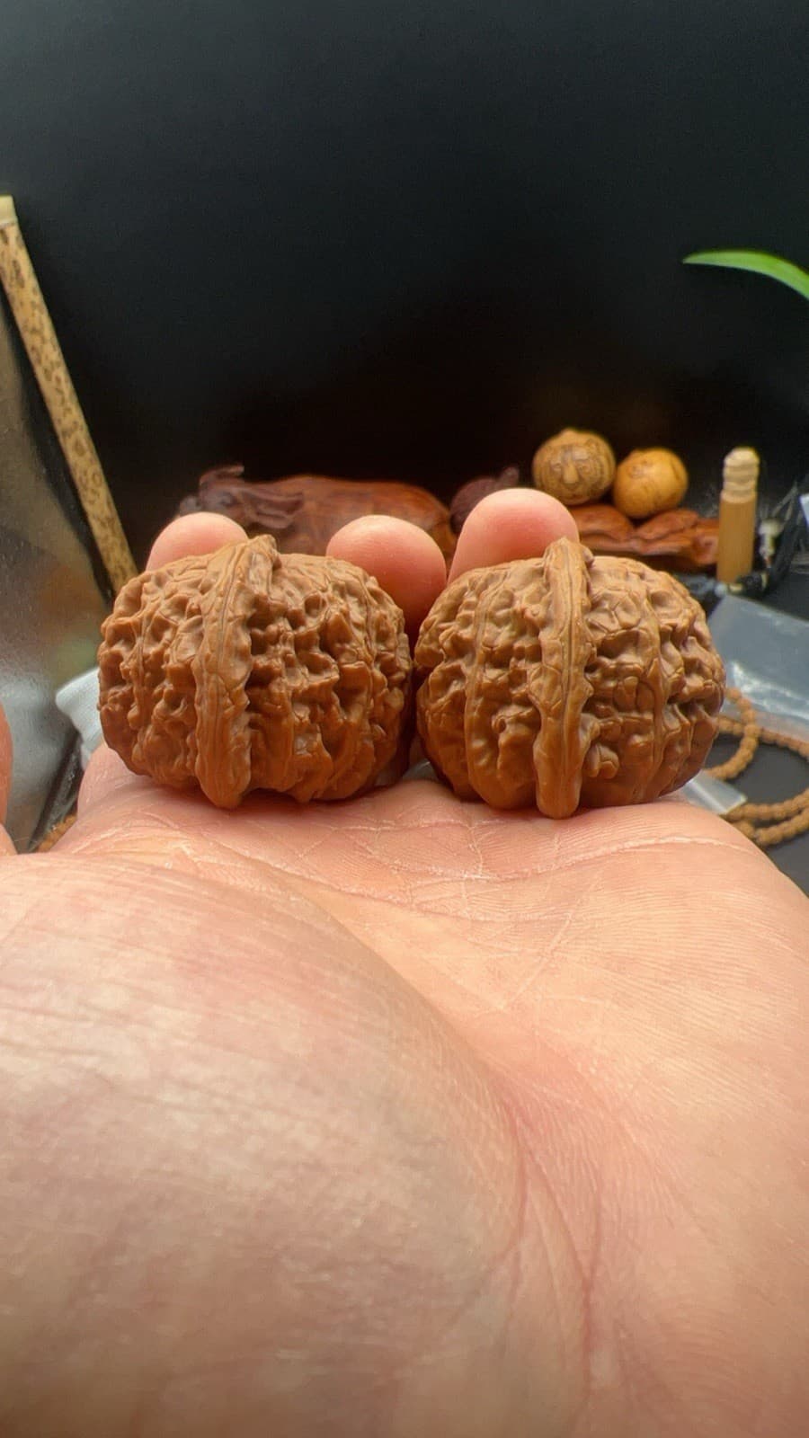 Pair of  Match Chinese Health Walnut 41.5×41.5×34mm 精配文玩核桃～闷尖白狮子 3