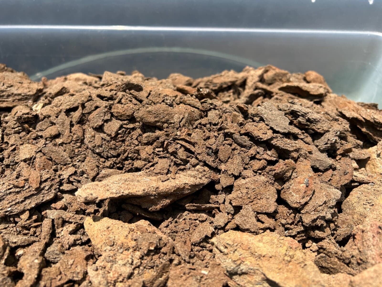 1 LBS Texas Micro Fossil Matrix Ozan Formation Find your Own Fossils Shark Fish 3