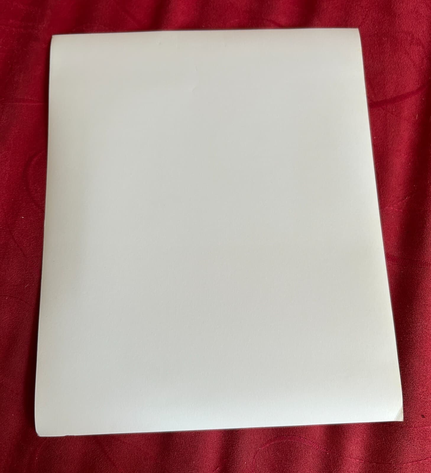 Coca-Cola 1950s Newberry's Five & Dime Soda Fountain Original Photo 3