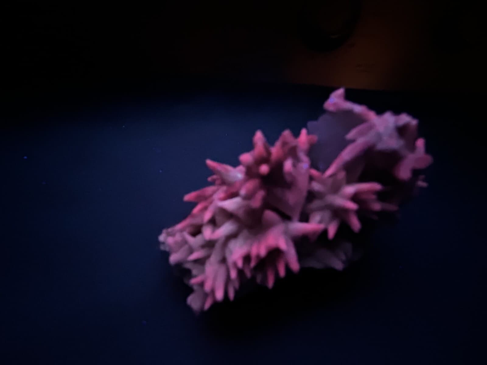 KB: NICE! SW & LW FL. MODERATE RED CALCITE XLS. FROM ANCASH, PERU