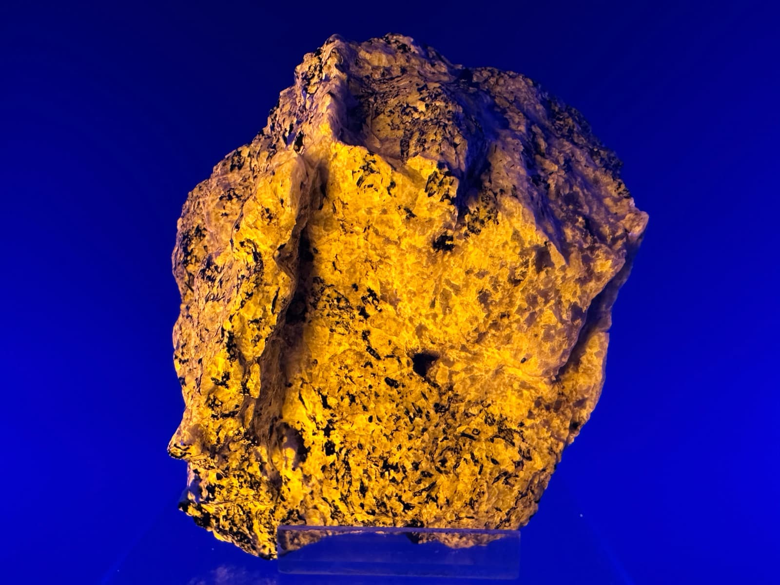 Fine Large Fluorescent Sodalite: Taseq Slope, Ilímaussaq, Kujalleq, Greenland