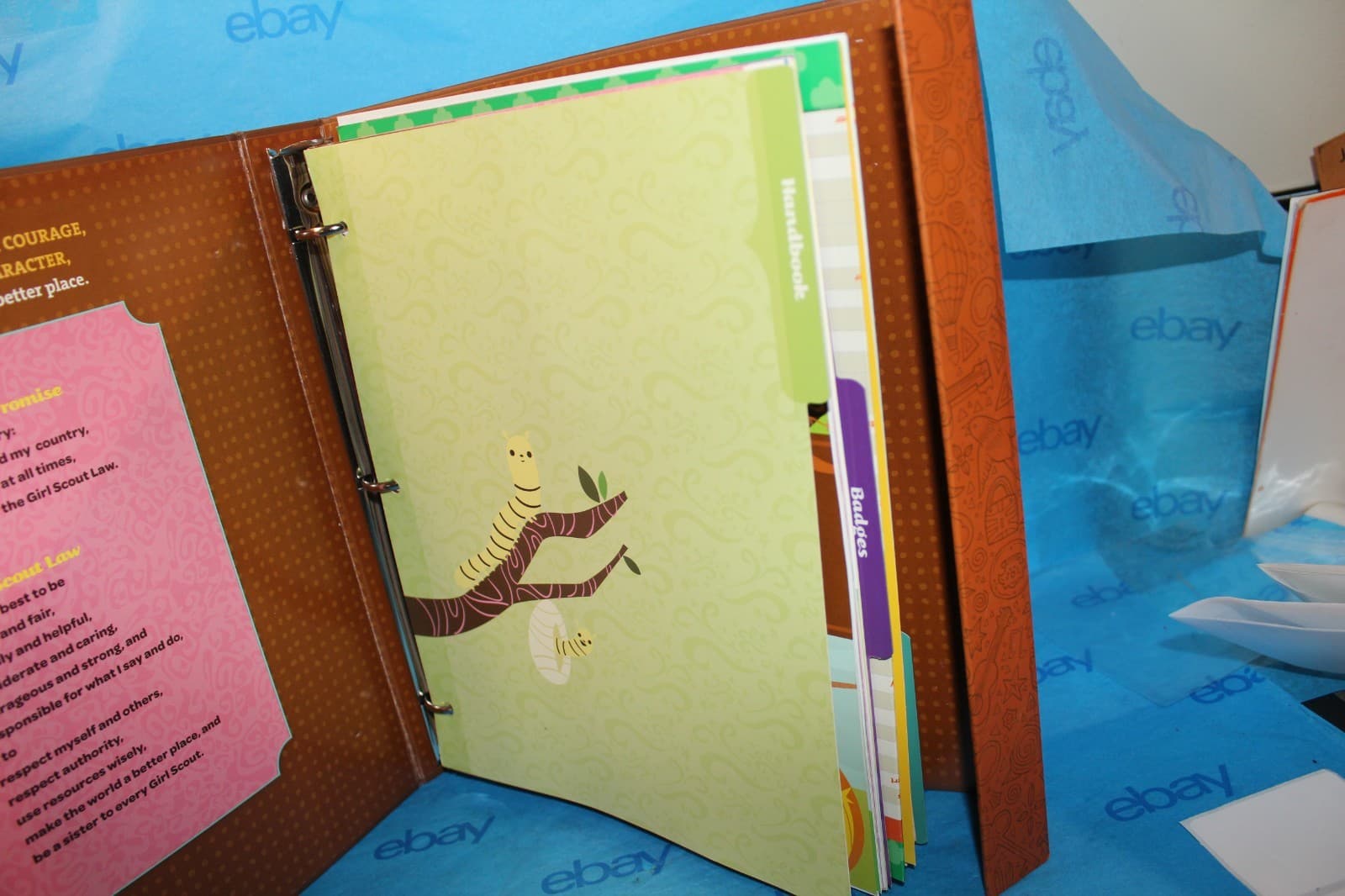 Girl Scouts Brownie Guide To Scouting Book 6