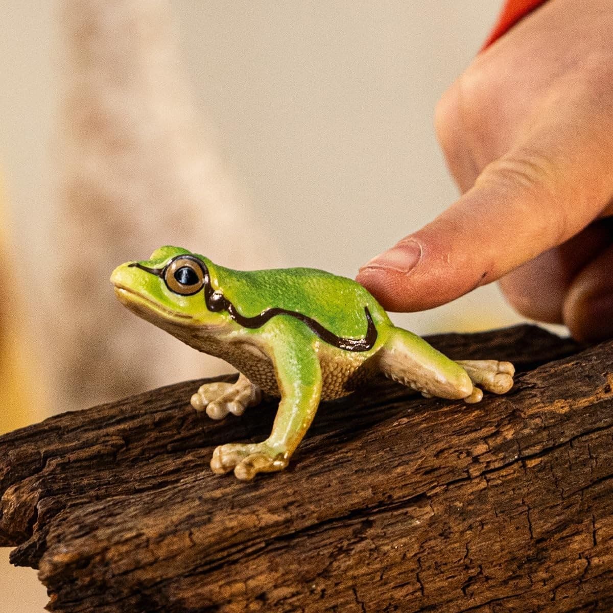 Schleich Wild Life - 3" European Tree Frog Toy Figurine. Realistic...  2