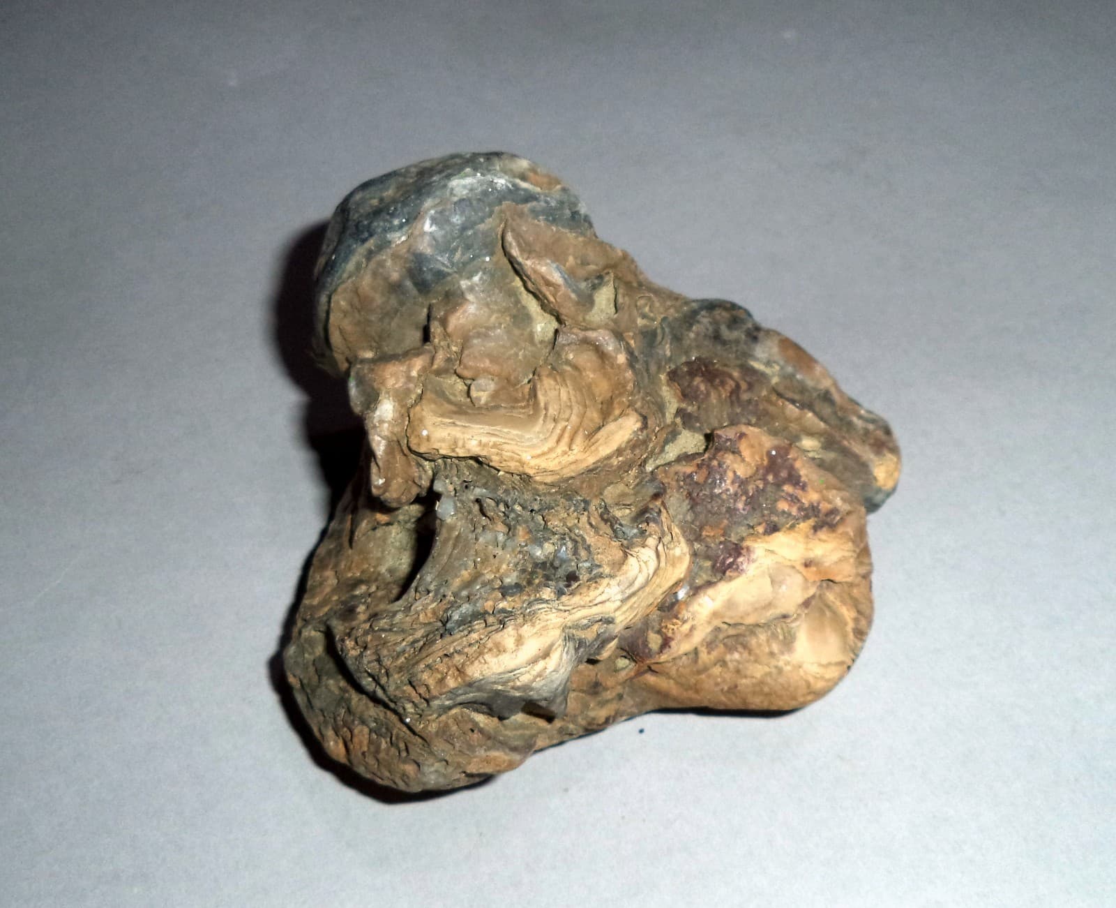 Fossil Sea Shells from Cape of Rodon, Albania. 200 gr; 80 mm. 2