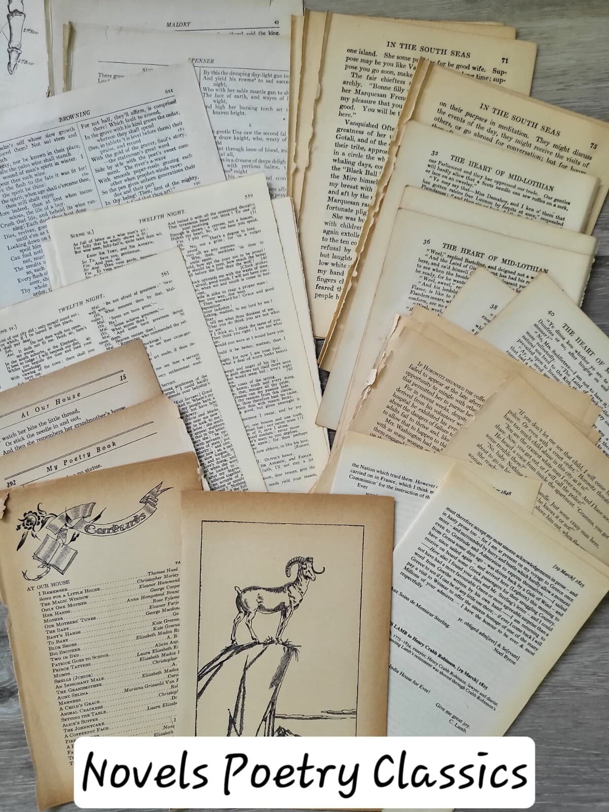 Ephemera Pack, 100 Antique Vintage Old Book Pages Foreign Language Illustrations 5