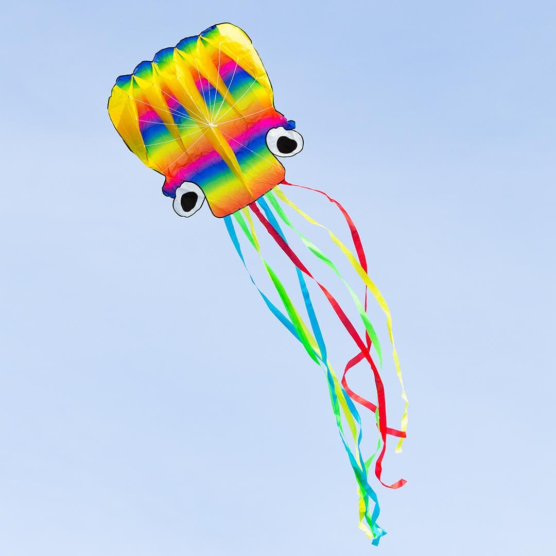 HQ Octopus Kite Rainbow LARGER Size 189" x 87" + Reel + Line + Clip + Carry Bag
