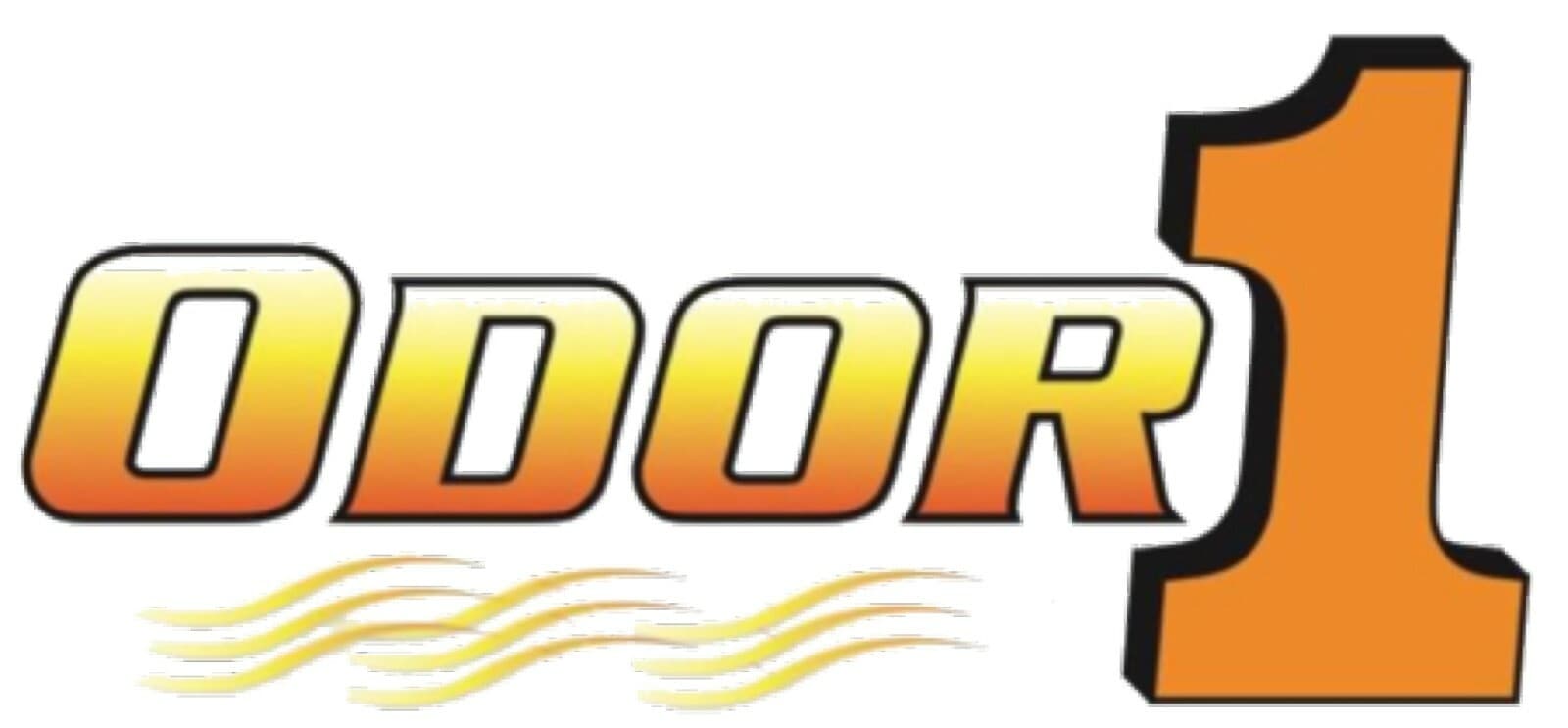 SR10 Carpet Shampooer 4