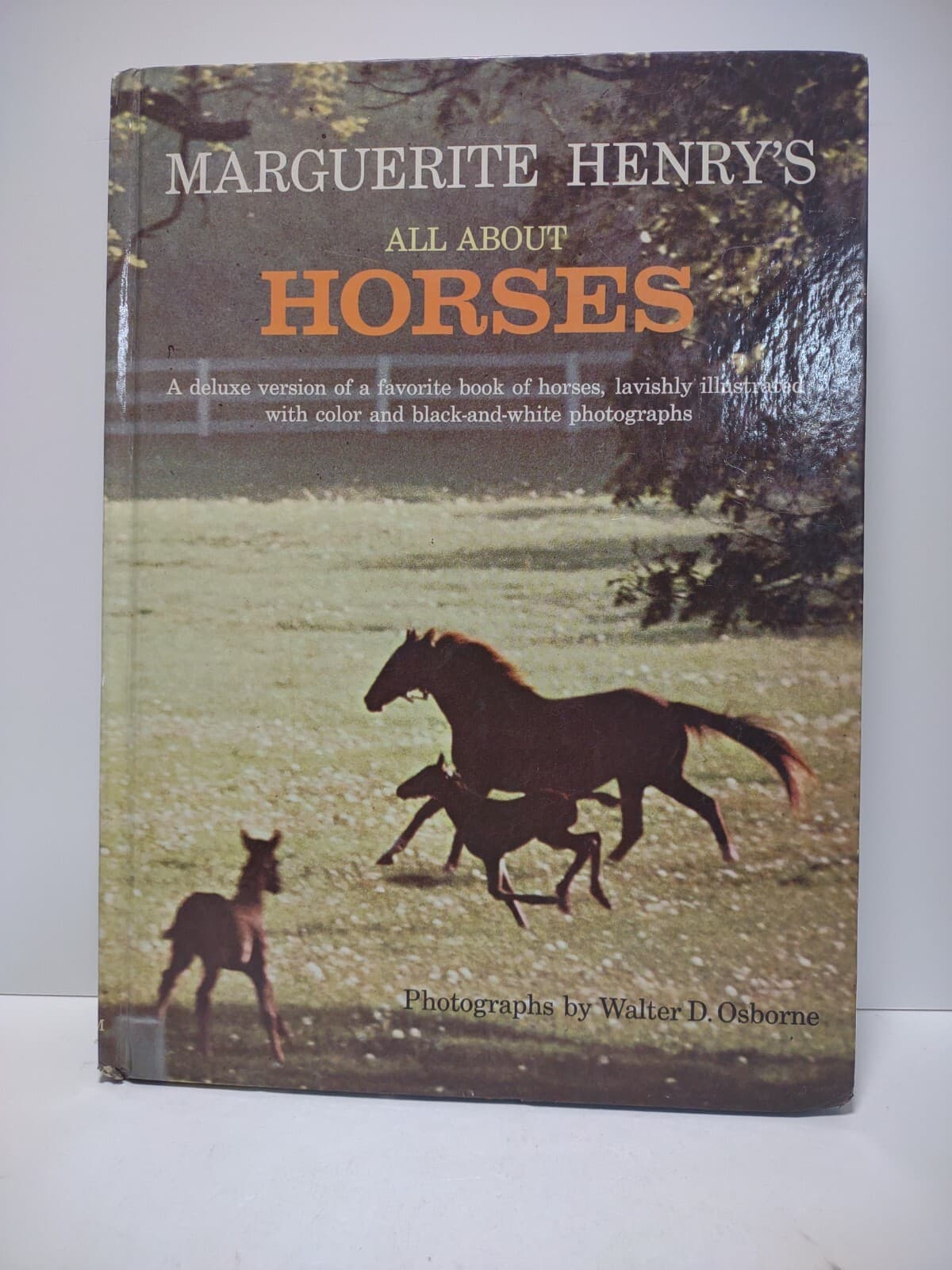 All About Horses Marguerite Henry HC Book 1967 Breeds Riding Warm Cold Bloods 