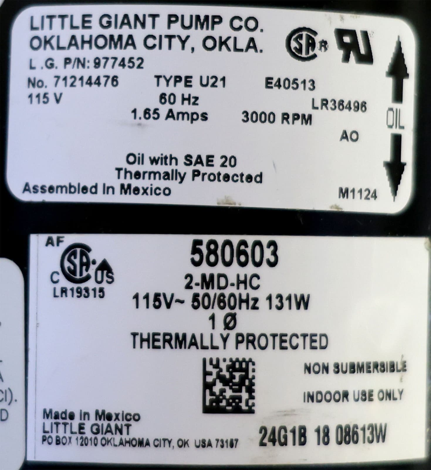 Little Giant Pump Co. 2-MD-HC Magnetic Drive Pump New 580603 5