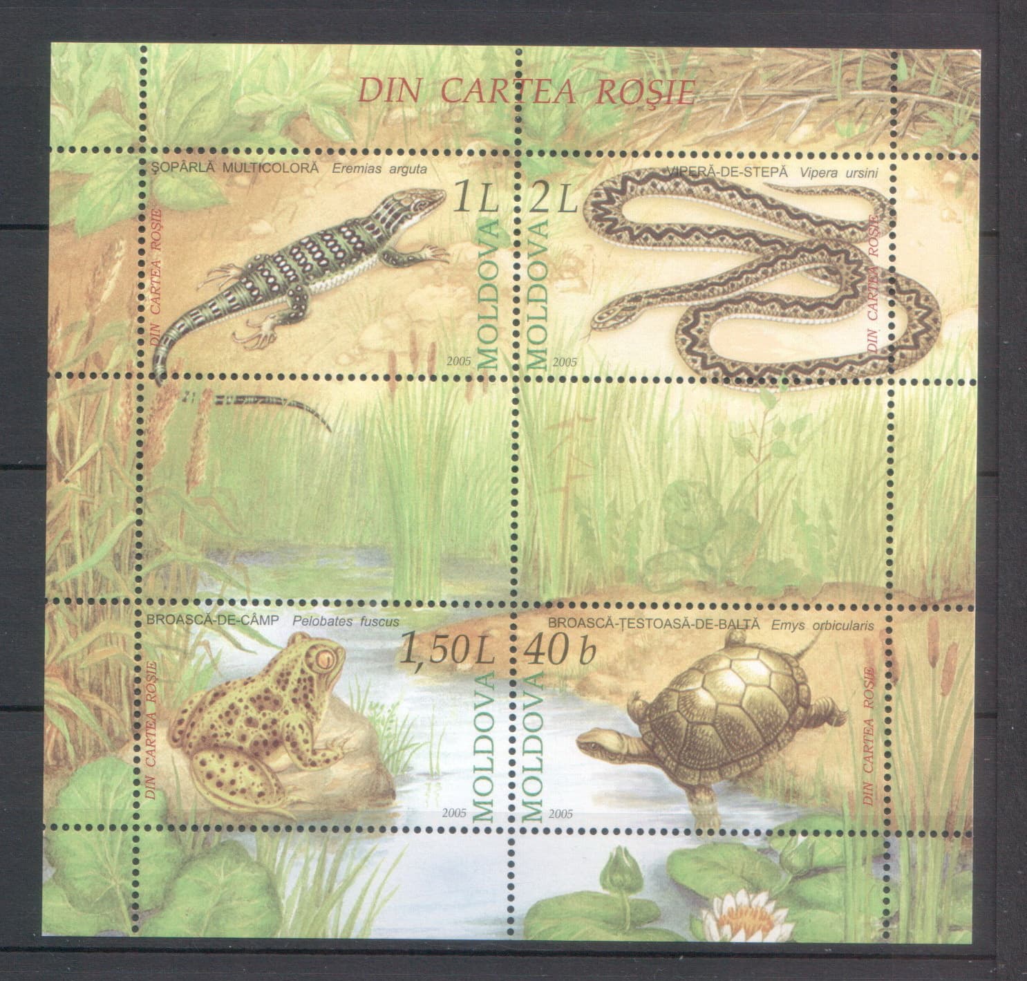 Moldova 2005 Fauna Animals Snake Frog Turtle Reptiles MNH sheet