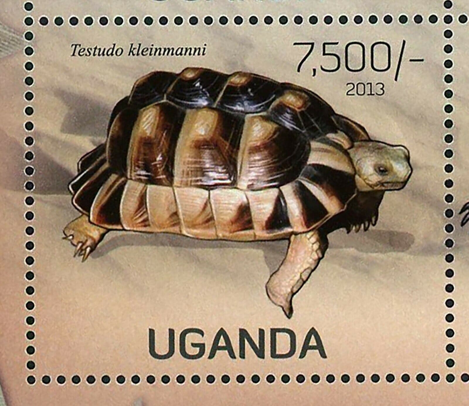 Turtles Stamp Aldabrachelys Gigantea Testudo Kleinmanni S/S MNH #3005-3008 5
