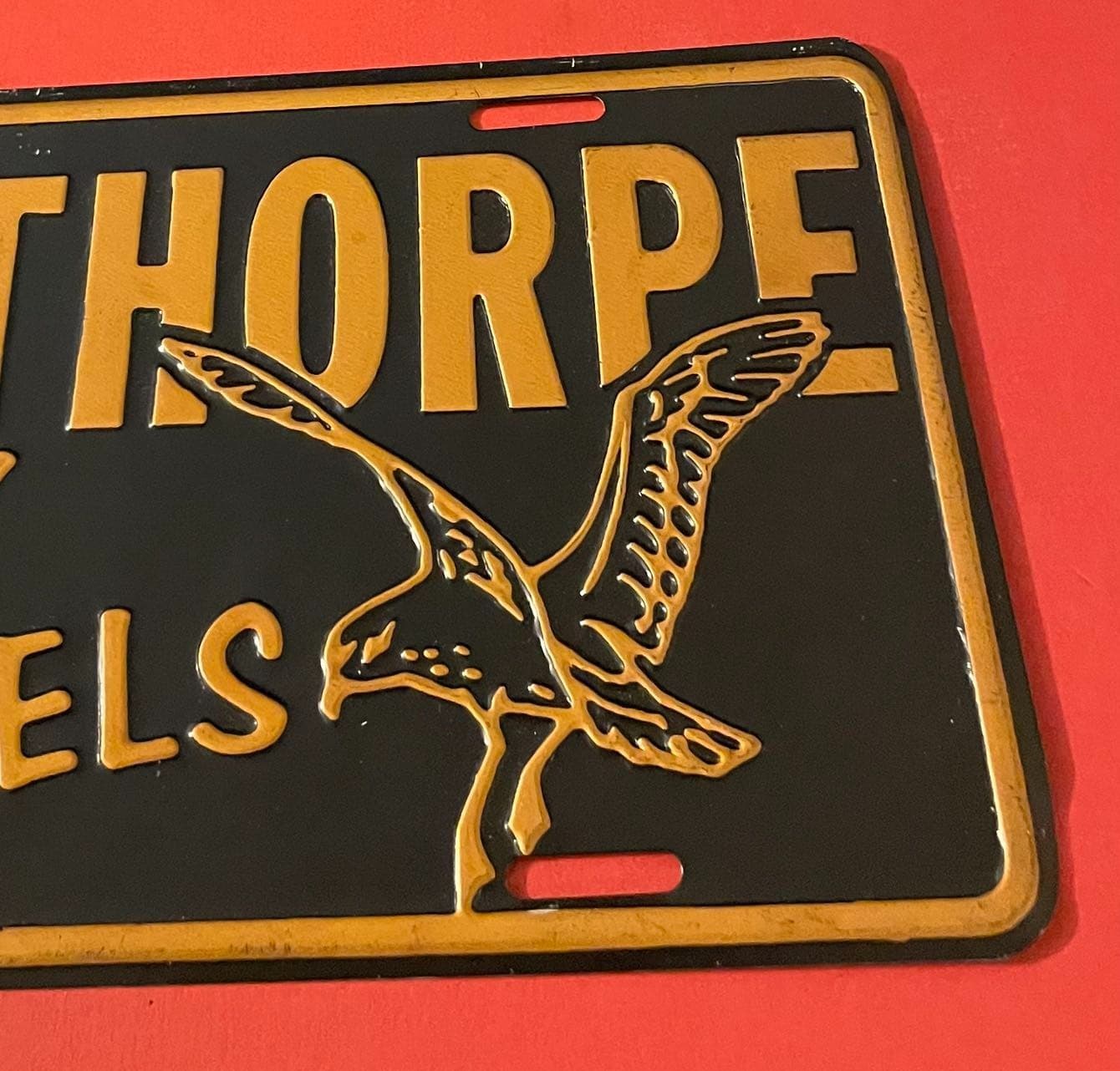 Vintage Olglethorpe University Stormy Petrels Booster License Plate Atlanta GA 3