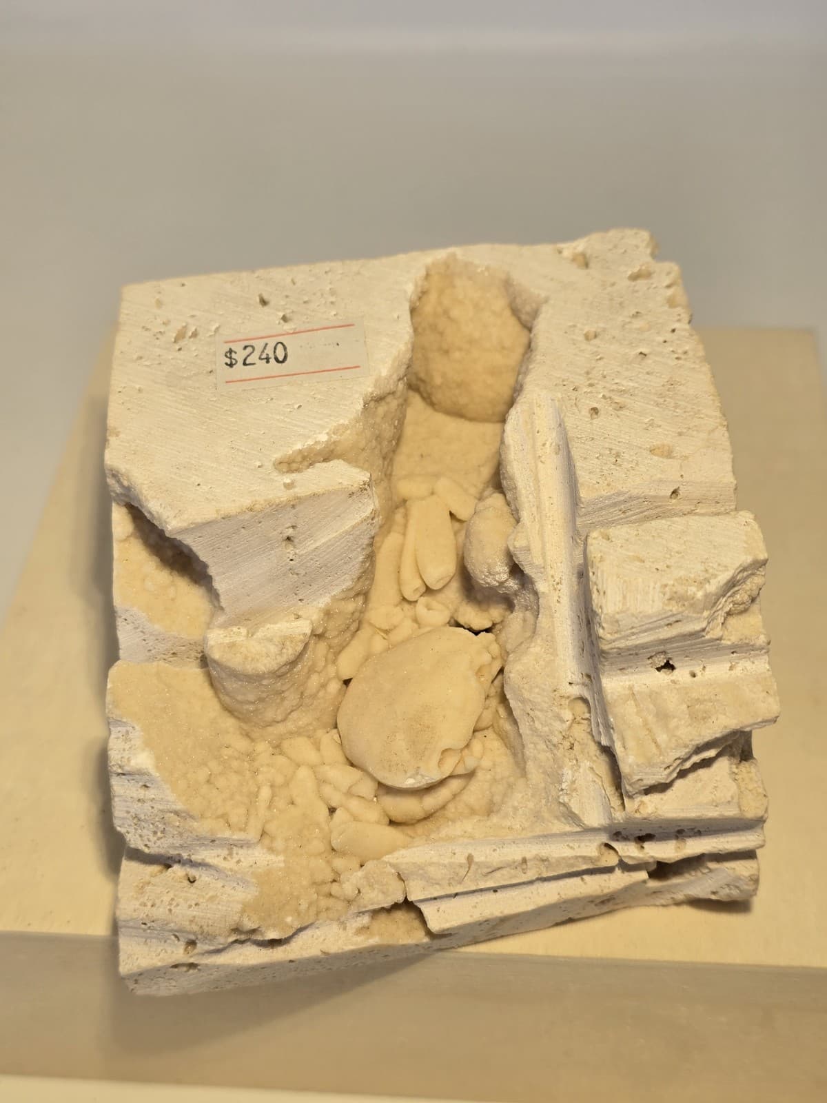 Travertine crab fossil 4