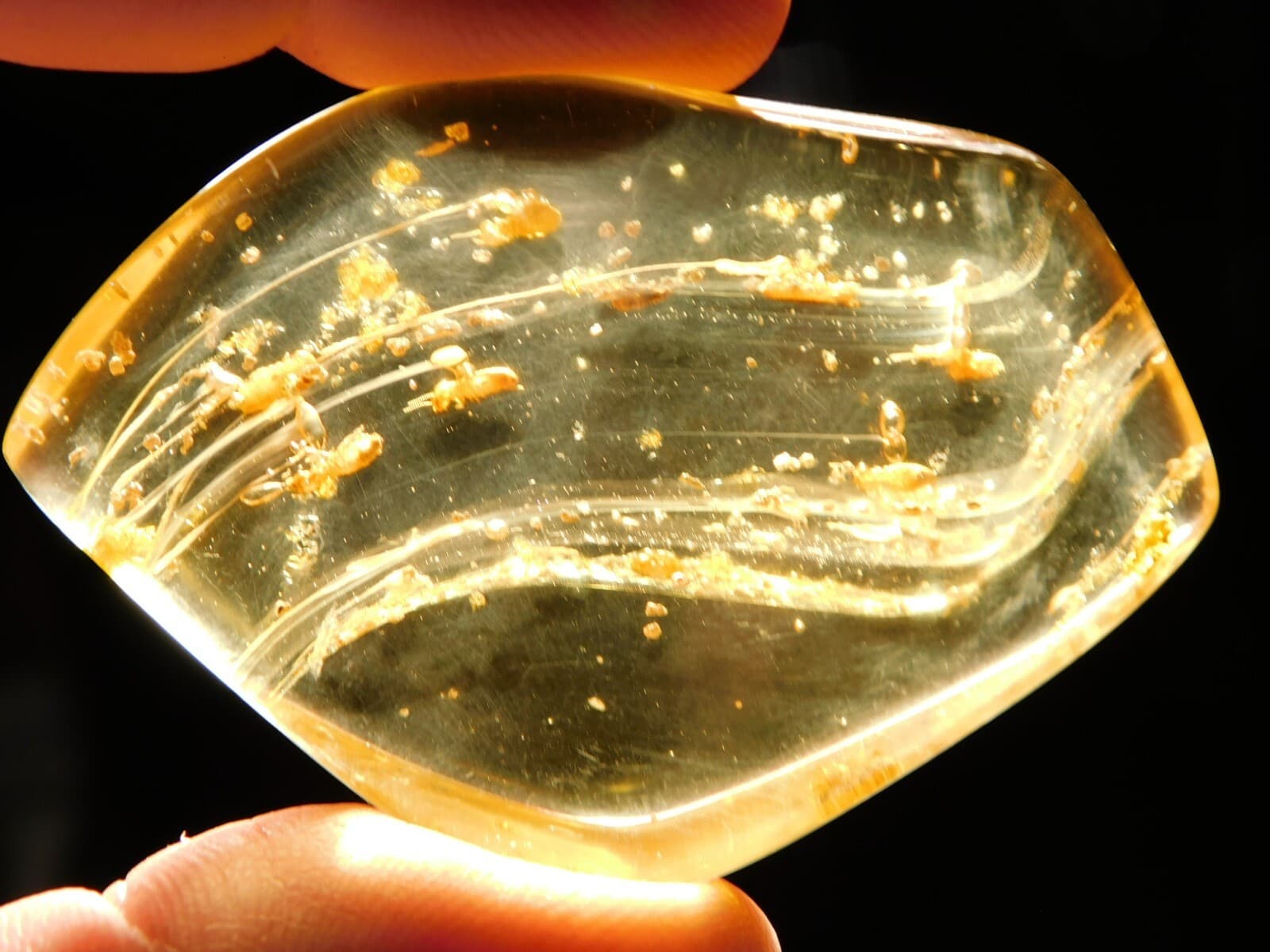 Polished Fossil AMBER With FOUR! Little TERMITE Fossils From Colombia 18.6gr