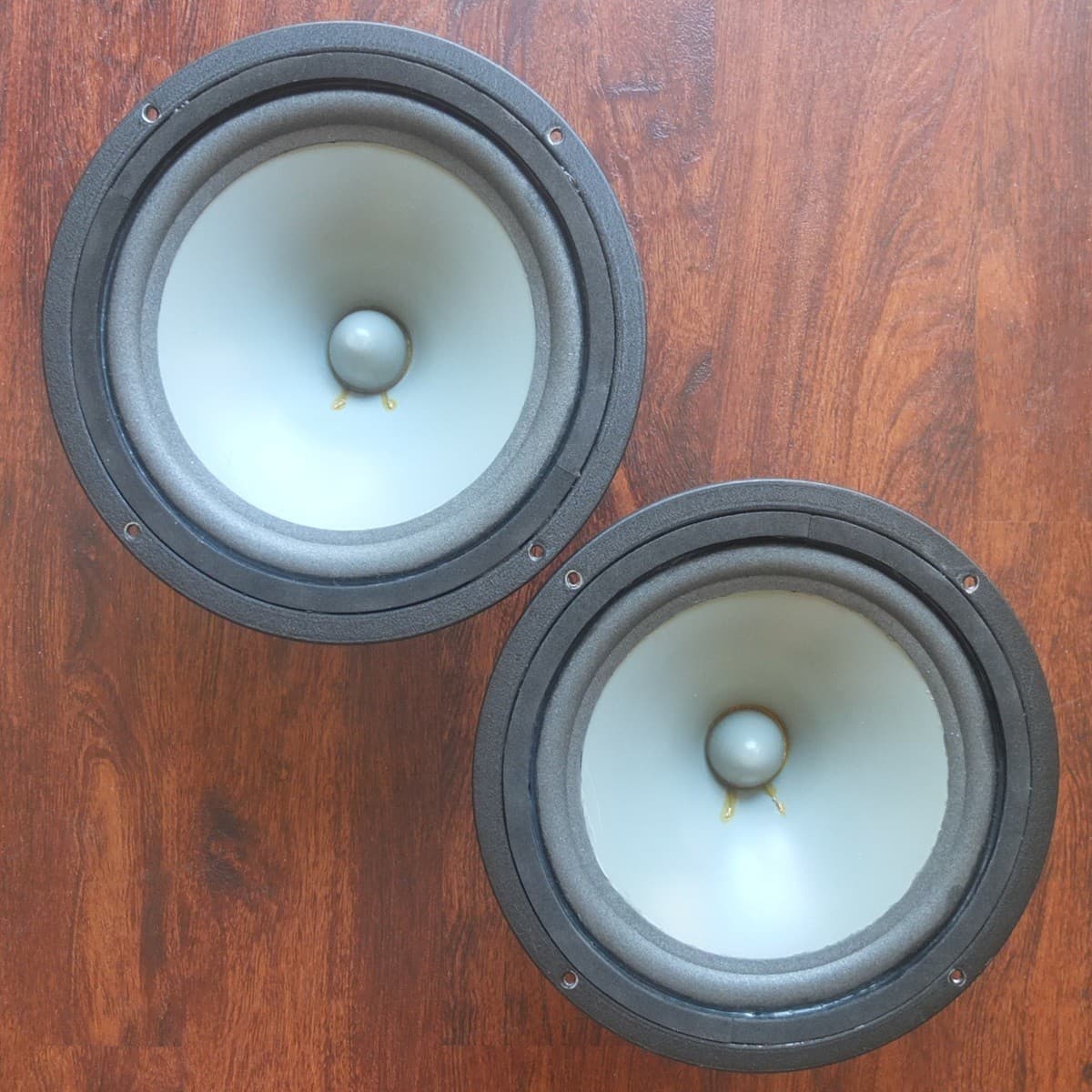 vintage Infinity 10" gray poly cone woofers for RSa RSb speakers c.1979—refoamed 6