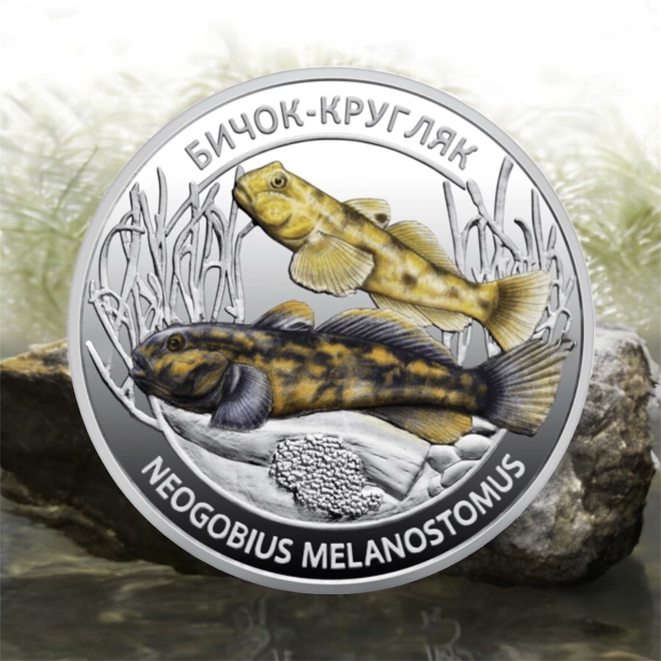 New Set of two commemorative coins`Inhabitants of the deep sea` 2