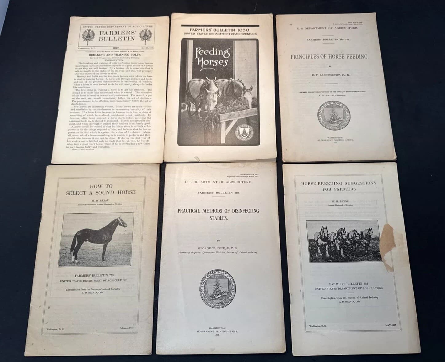 1915-17 USDA Farmers 6 Booklets Horse Feeding, Breaking Colts, Breeding antique