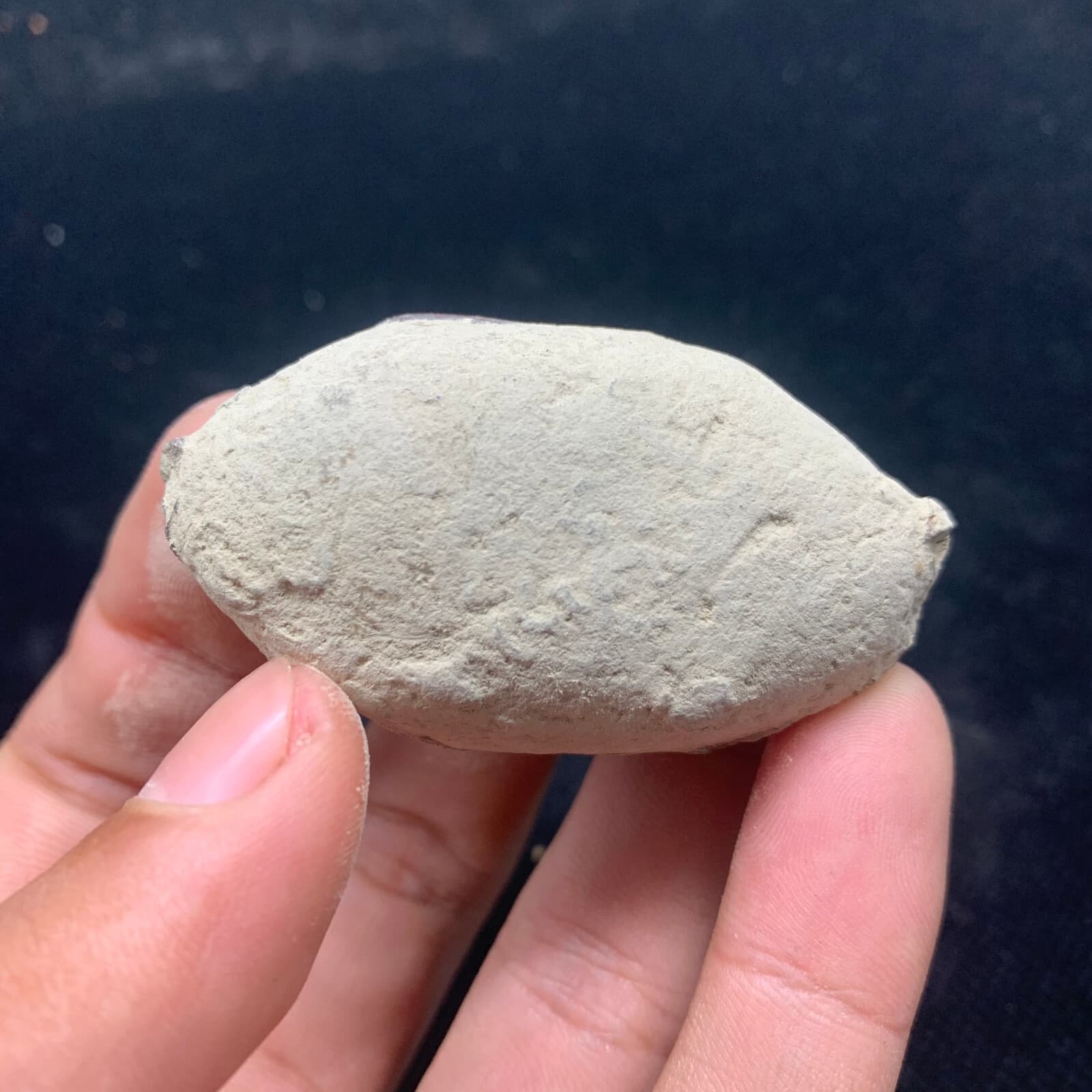 Jurassic Crab Fossils Awaiting Excavation Nuclear Dinosaur Age 3