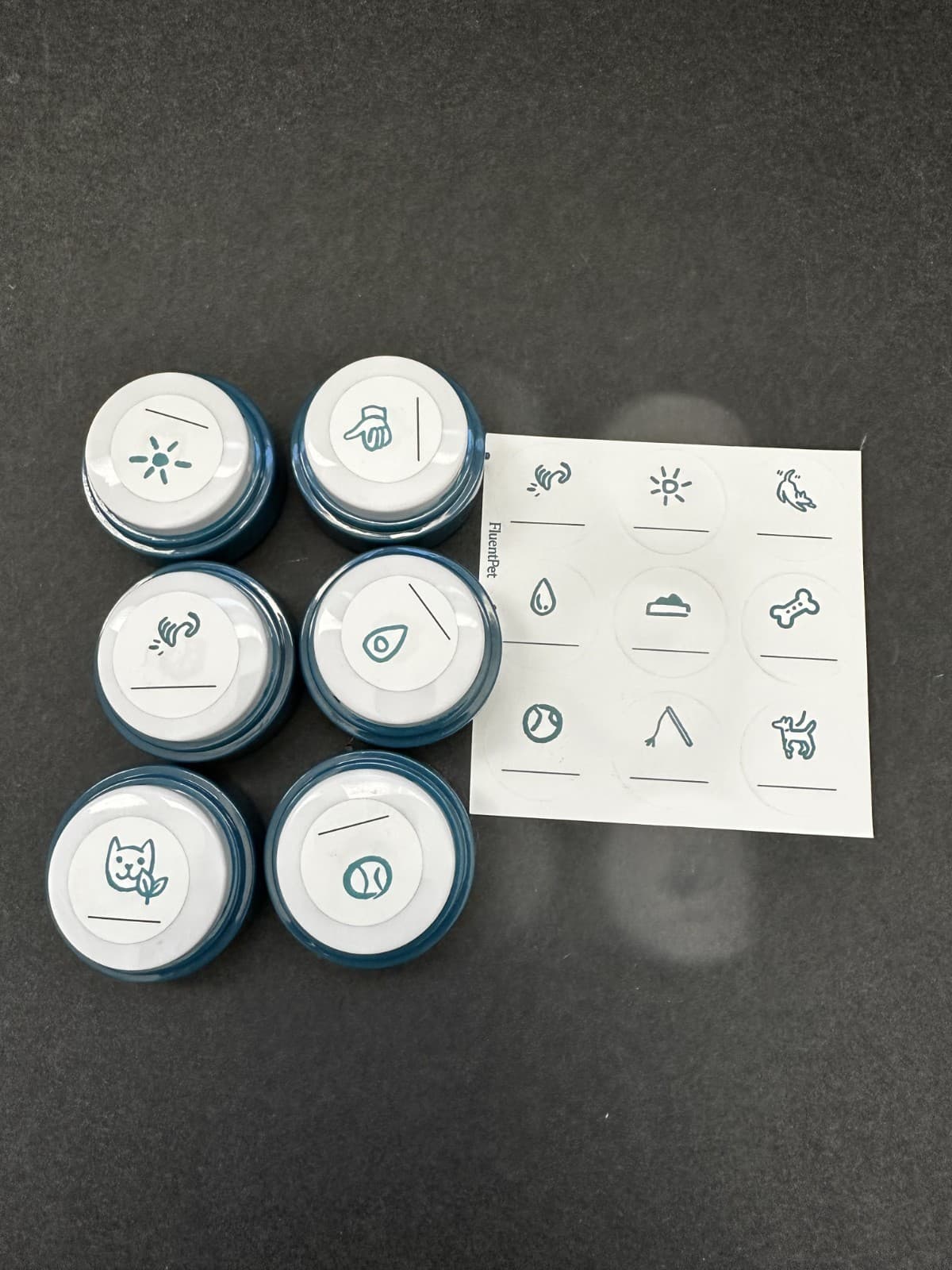 FluentPet Basic Buttons - Set of 6 - Open Box - Recordable - Used
