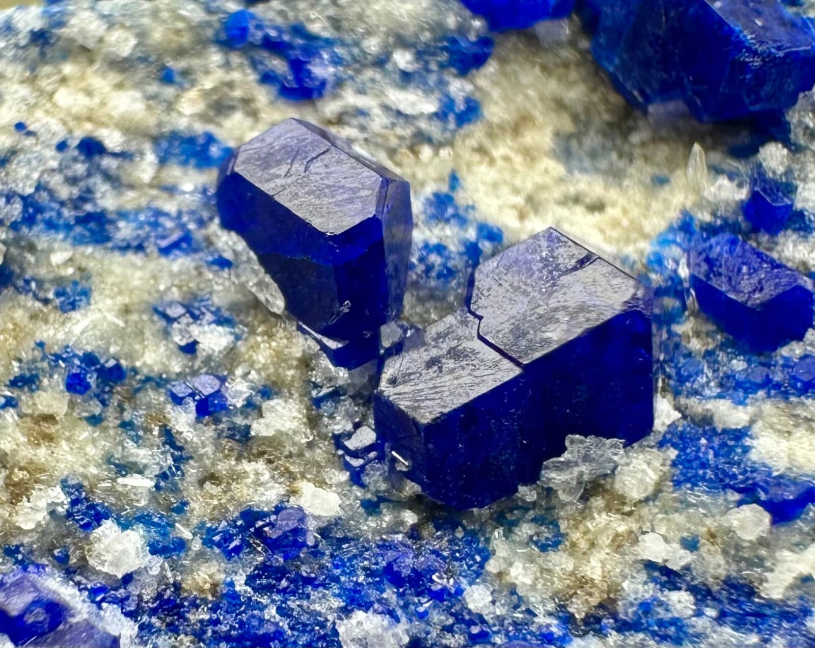 240 Gr. Full Terminated Rare Top Blue Hauyne Crystals Cluster On Matrix @Afg