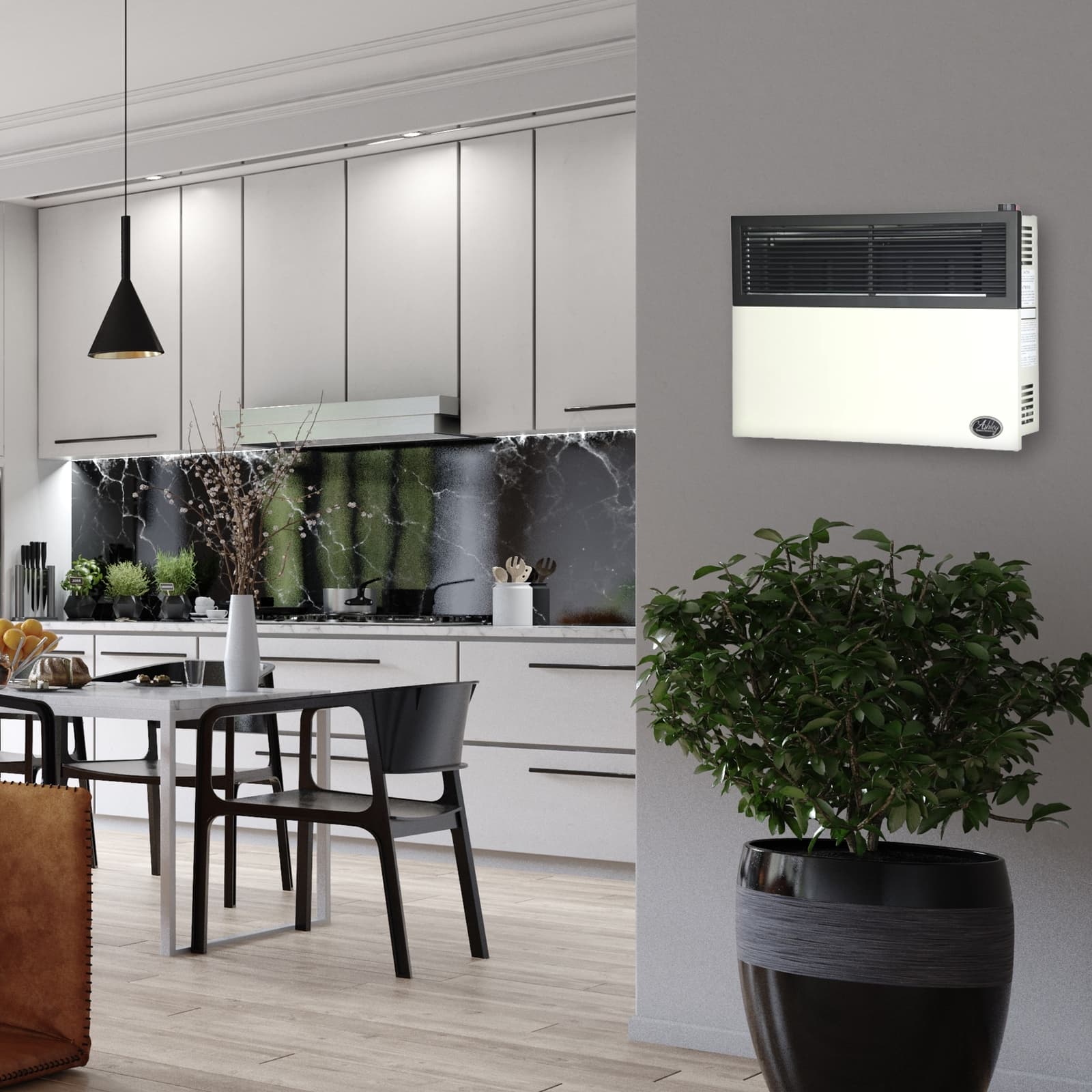 Ashley Hearth Products Direct Vent Liquid Propane Wall Mount Heater 5