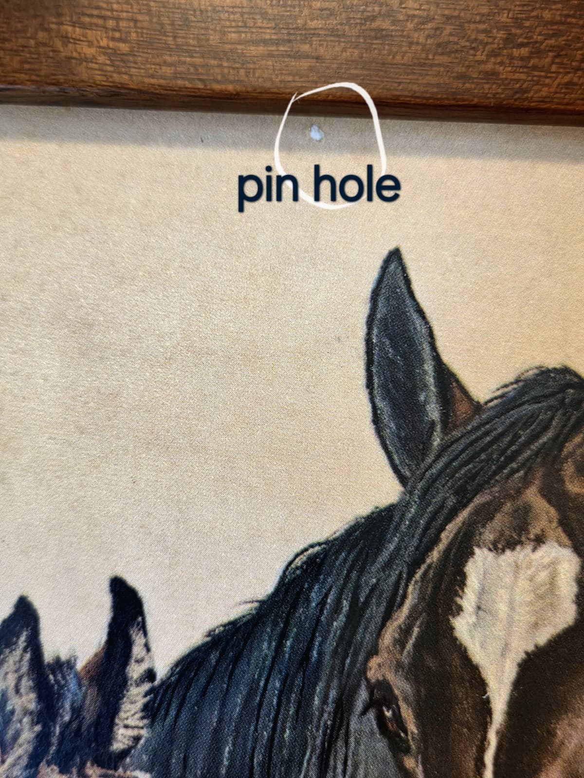 Horses Mare & Foal Ole Larsen Print Wood Frame Equines * Please Read  5