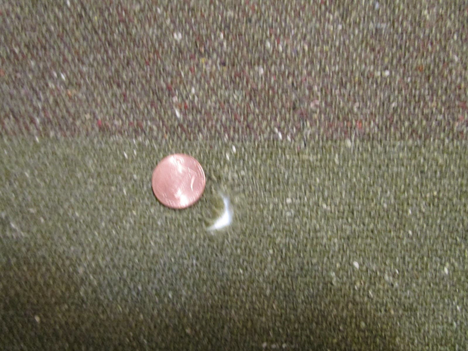 Antique WWI ARMY BLANKET original Olive Green abt 64”x77” Brown Stripe at ends 3