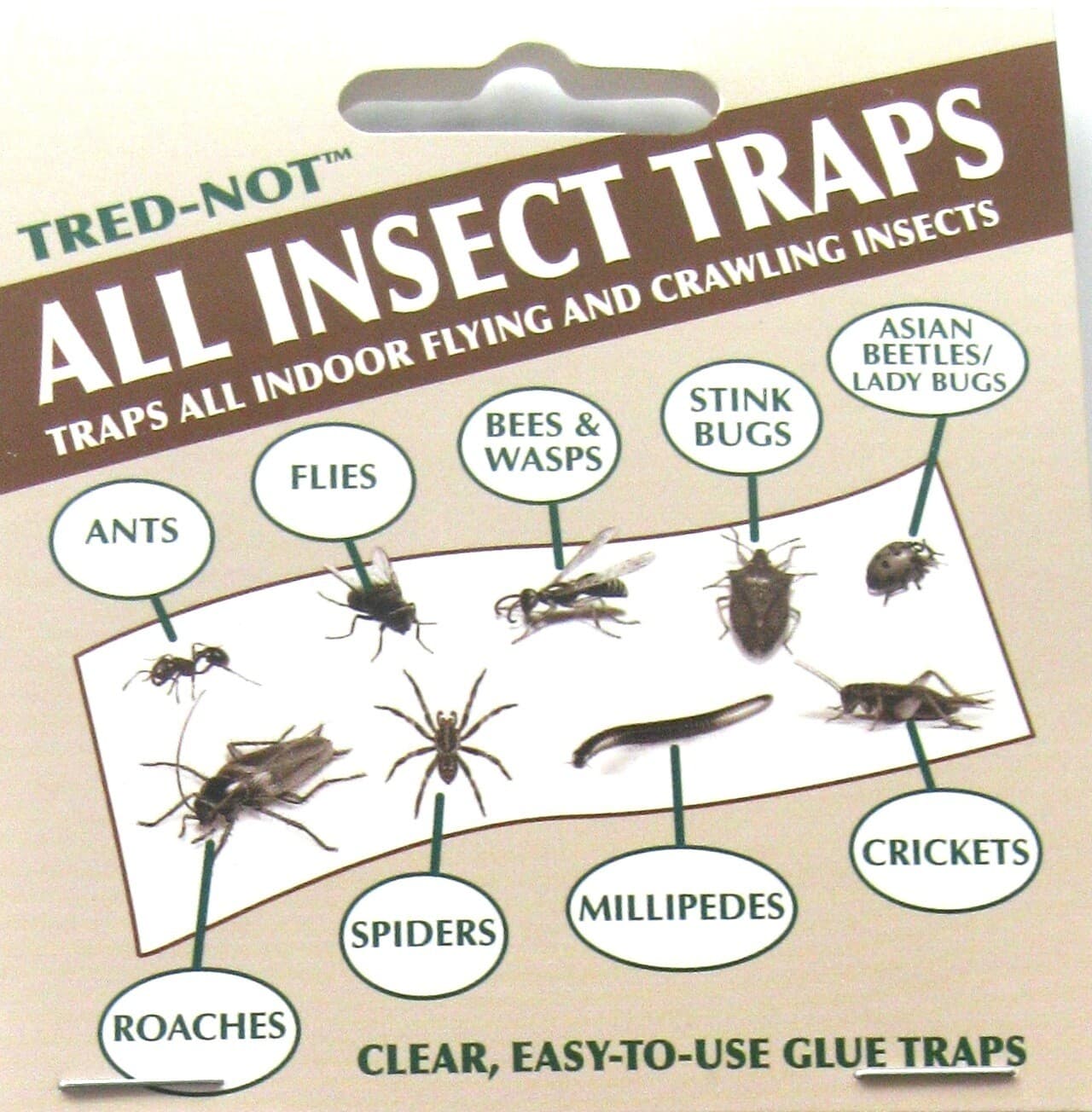 8 pk  ALL INSECT  STICKY TRAPS .  Sticky glue Traps economy 8pk 2