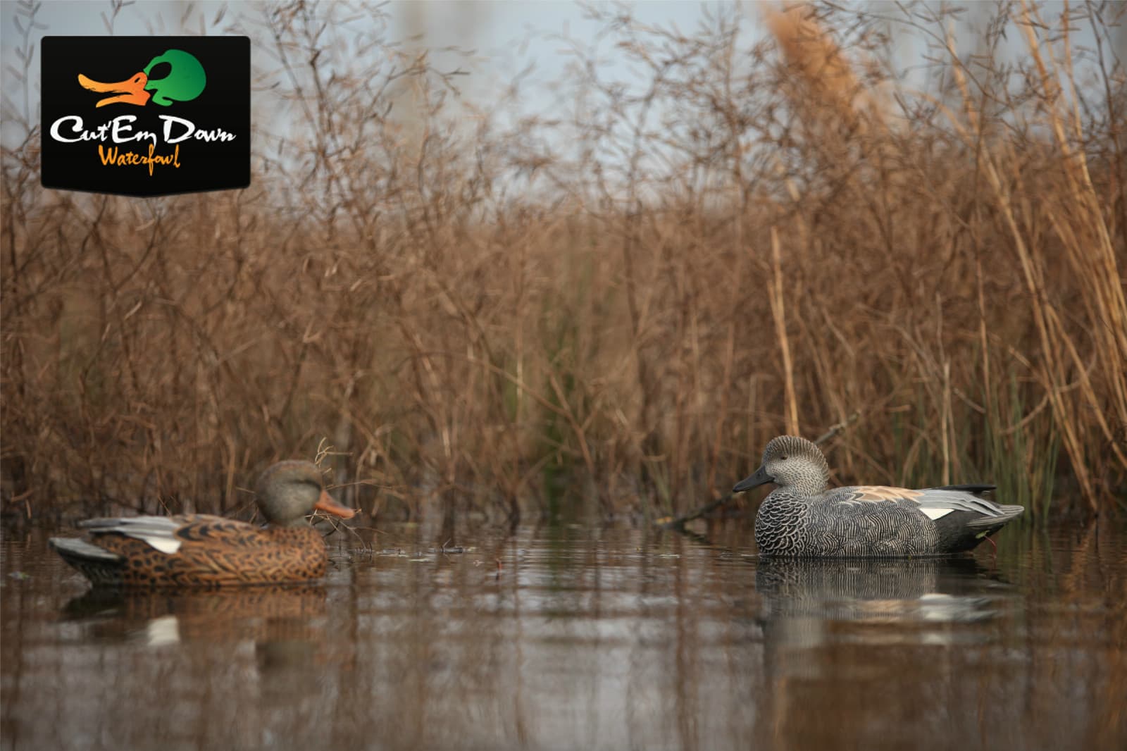 NEW AVERY GREENHEAD GEAR GHG PRO GRADE PG LS GADWALL FLOATER DUCK DECOYS 6 6