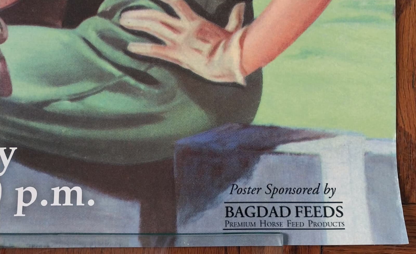 2002 original Shelbyville TN Horse Show Poster Shelby County Tennessee 20x28 6