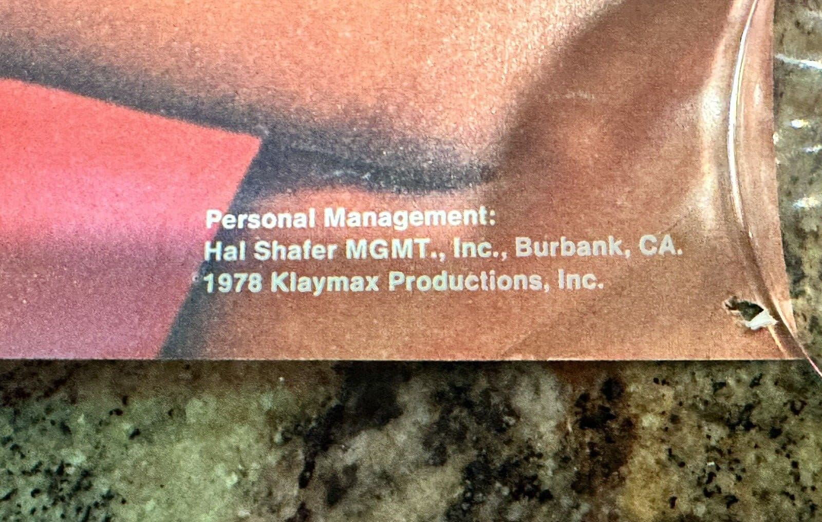 1978 Loni Anderson Sexy Pinup WKRP 70's #60 Vintage Original Poster White Bikini 4