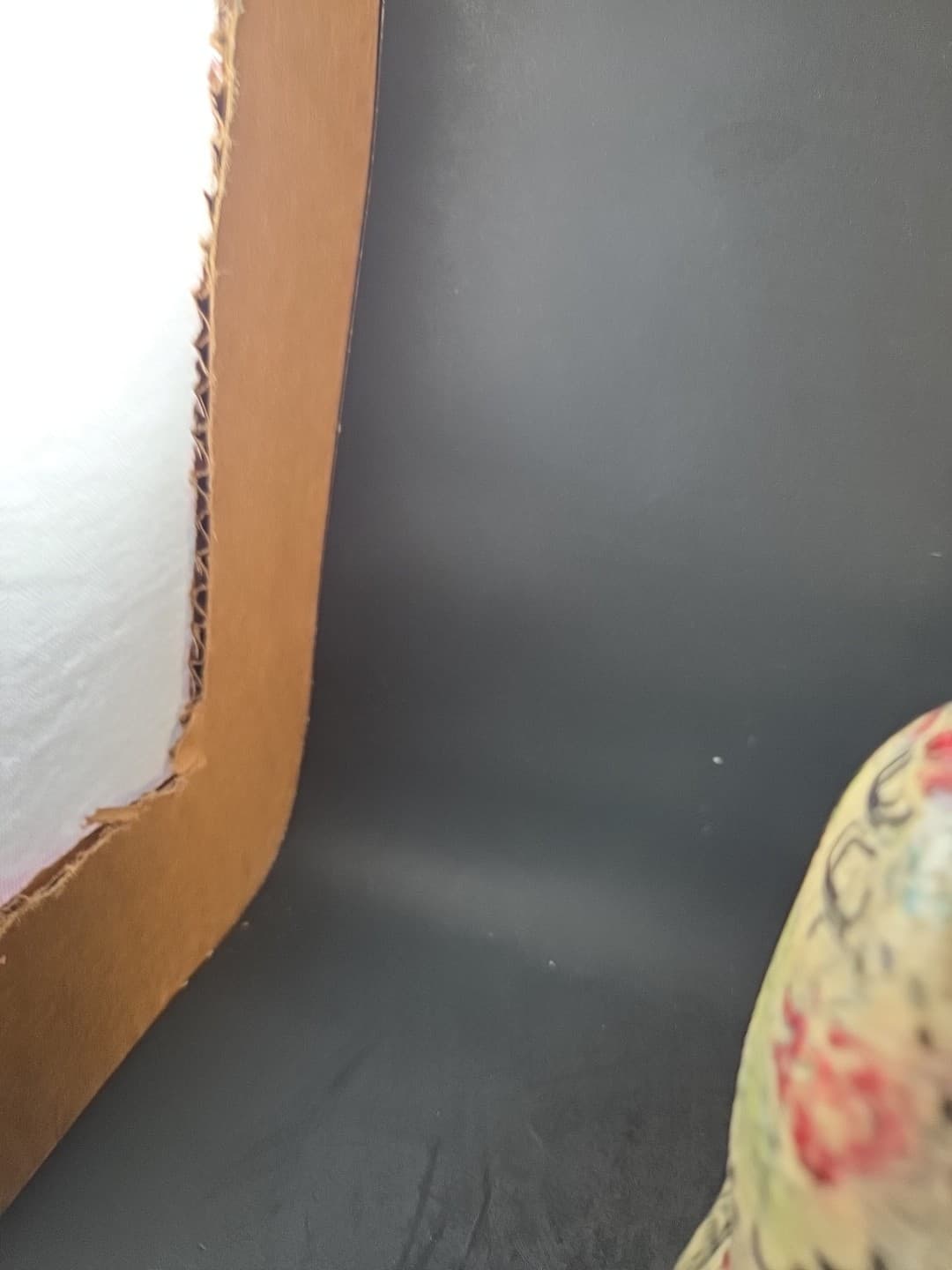 Two Chinese Diety's, Lu And Shou 2