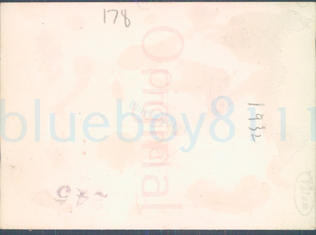 1933 Photo English Springer Spaniels one is named bob 3.5x2.5" 2