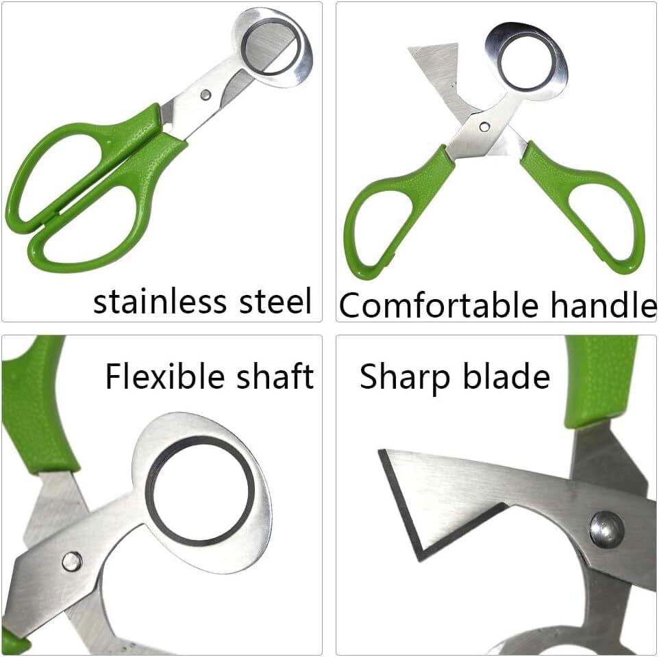 Quail Roast egg scissors eggshell scissors eggshell opening divider scissors Lot 6