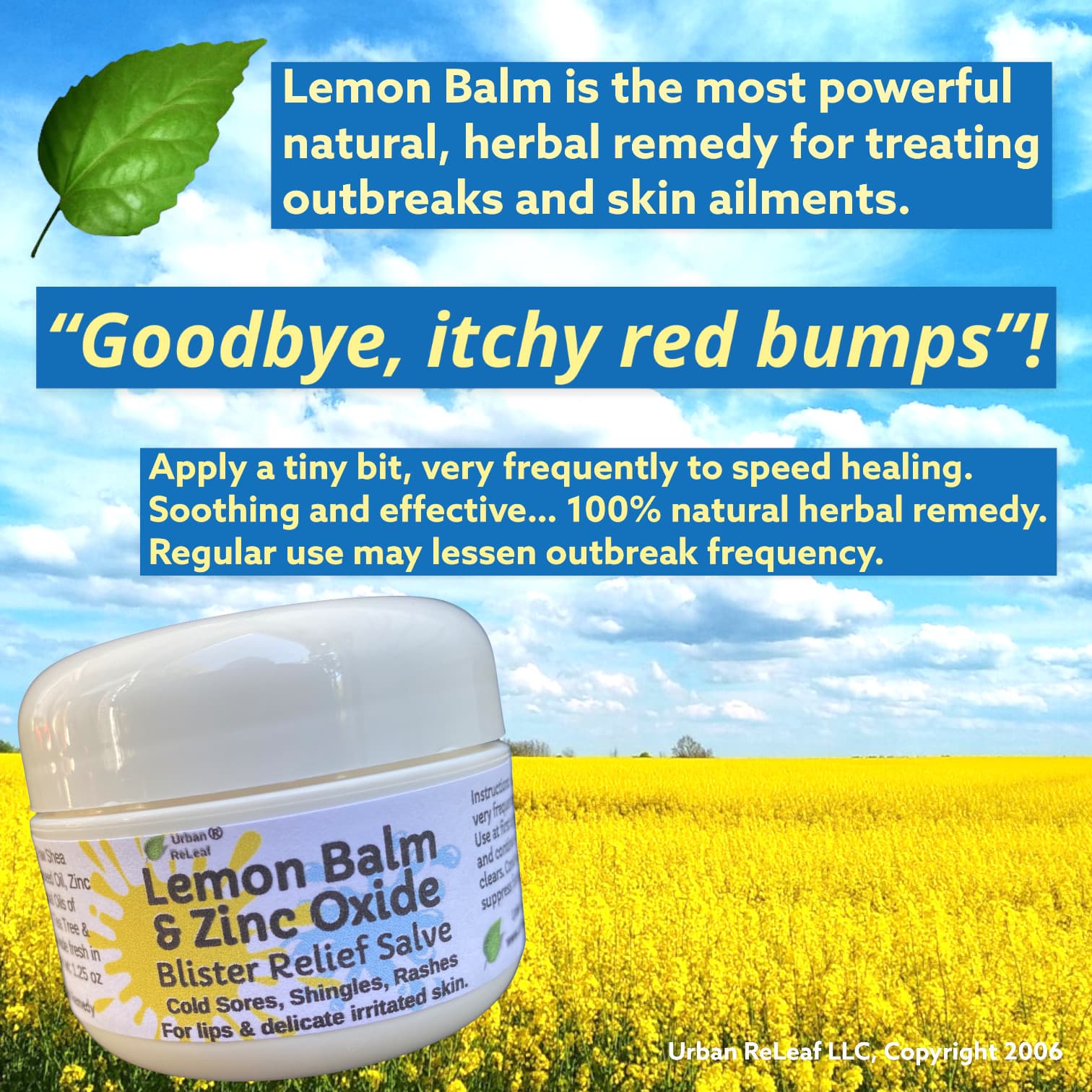 Urban ReLeaf Lemon Balm Zinc Oxide Blister Relief Salve! Cold Sore Shingles Pox 2