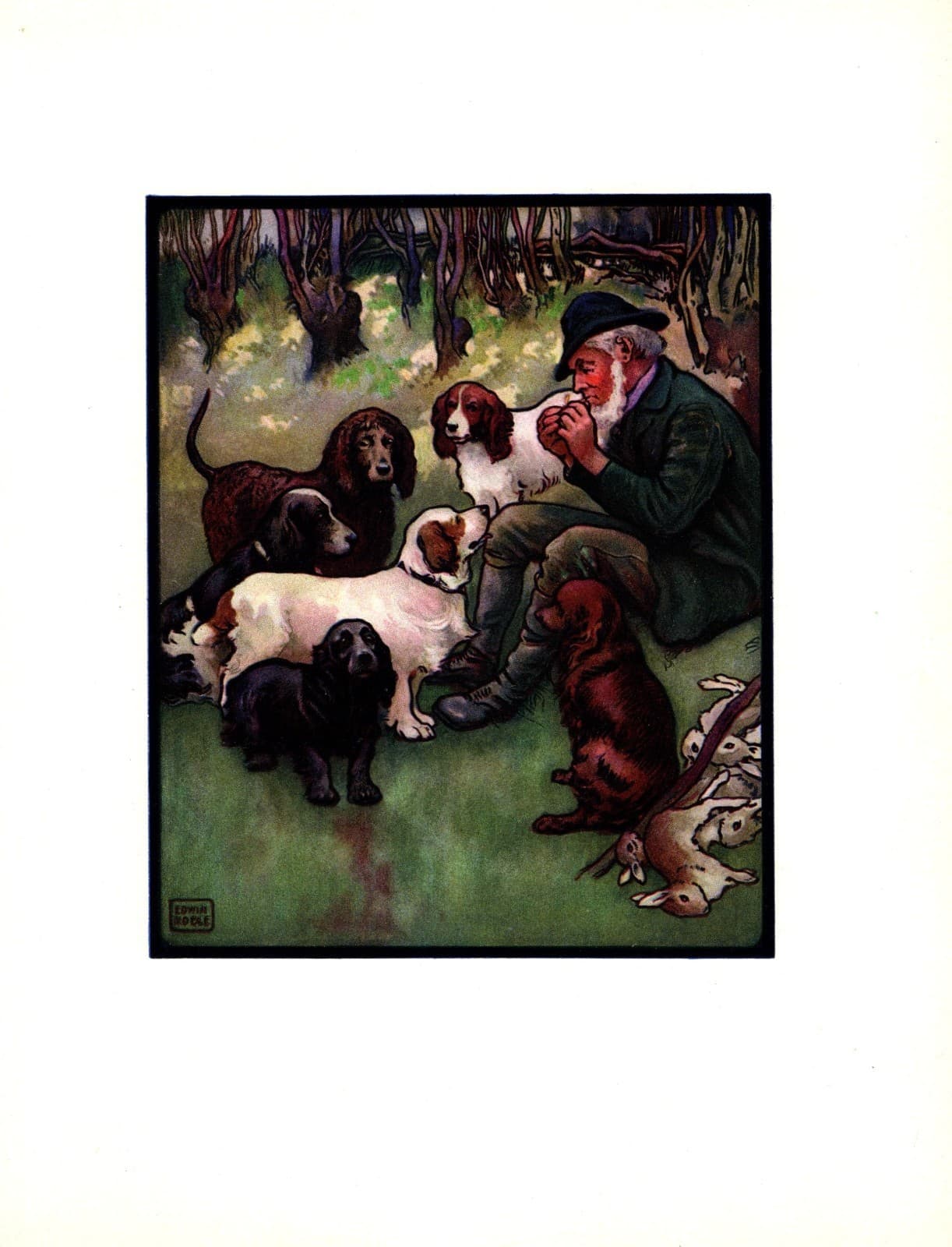 Antique Spaniels Print 1910 Edwin Noble Springer Clumber Cocker Spaniel 6420g 2