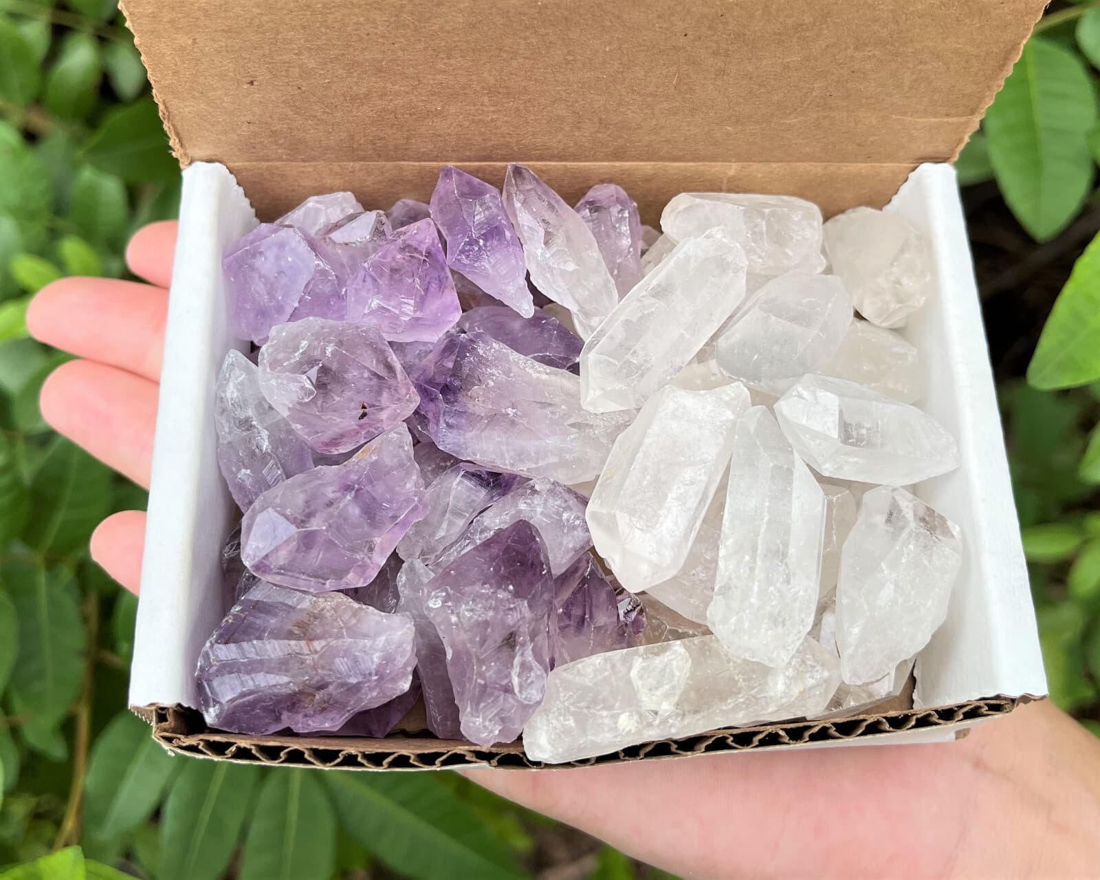 1/2 lb Bulk Amethyst & Quartz Crystal Collection in Box, Natural Clear Points  2