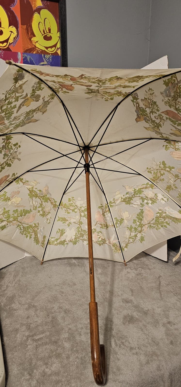 Rare 1988 Nylon The Nature Company Bird Umbrella Vintage Works Wooden Handle 2