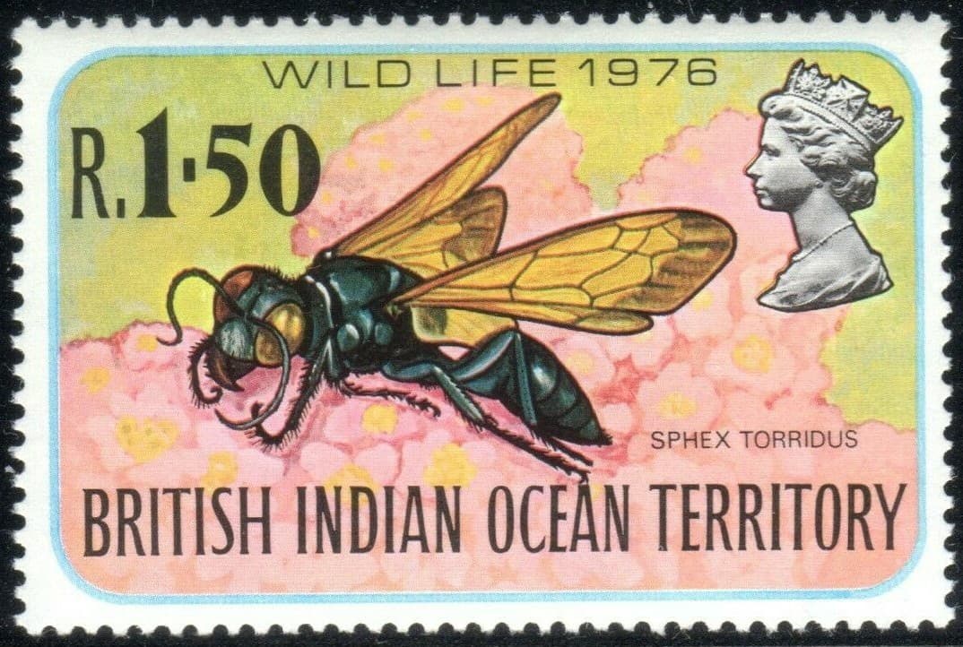 British Indian Ocean Territory Scott 86-89, SG 86-89 Wildlife VF MNH 1976 BIOT 4