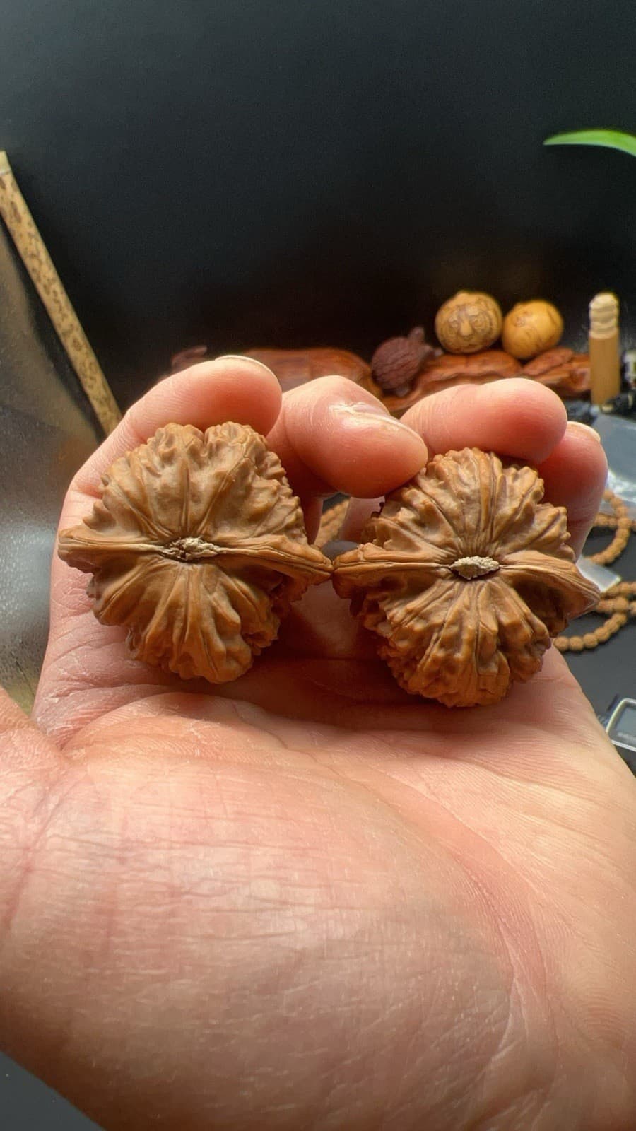 Pair of  Match Chinese Health Walnut 41.5×41.5×34mm 精配文玩核桃～闷尖白狮子 6