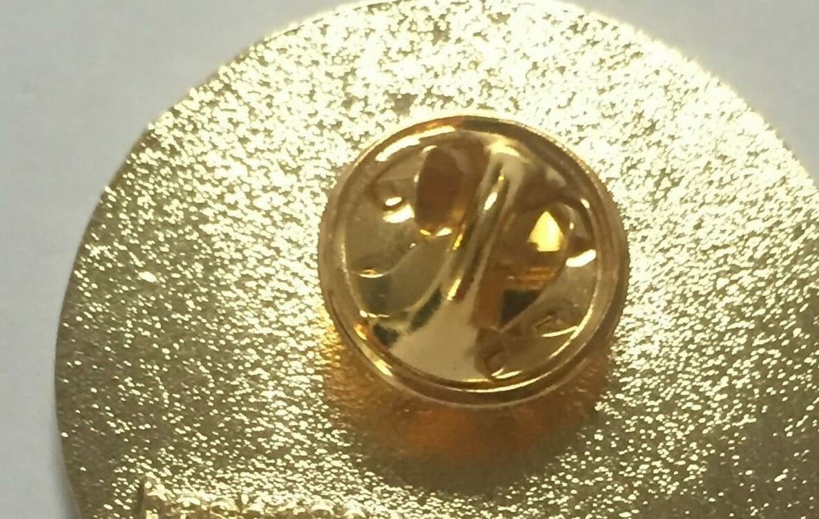 Terence MacSwiney badge,Irish Republican ,MAYOR OF CORK ,died Hunger strike,1920 4