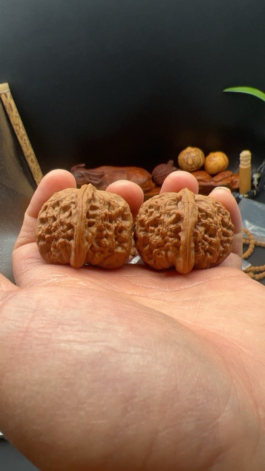 Pair of  Match Chinese Health Walnut 41.5×41.5×34mm 精配文玩核桃～闷尖白狮子 5