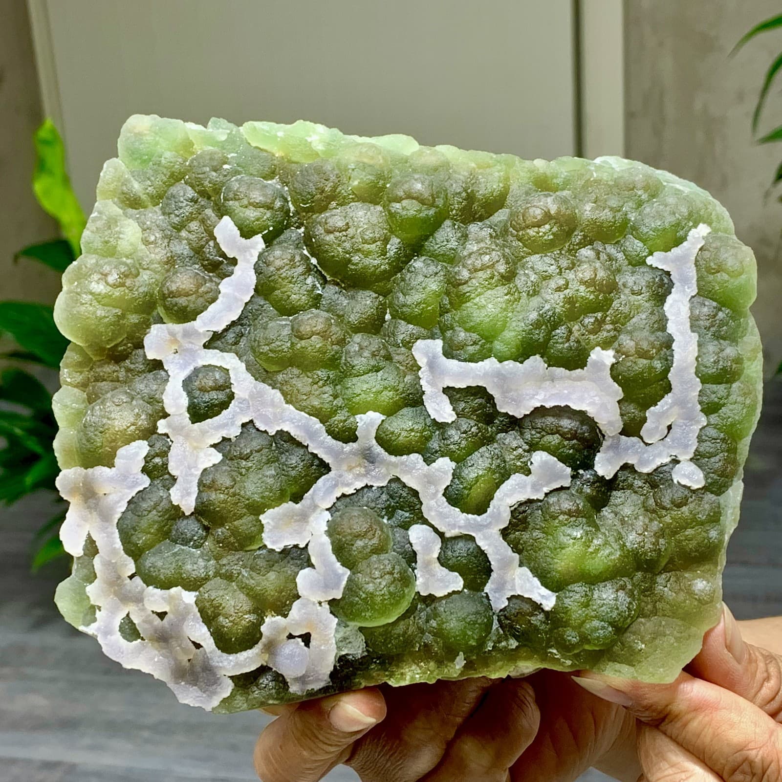 3.7LB Natural Fluorite Green-white dual color crystal mineral Specimen,Zhejiang 2