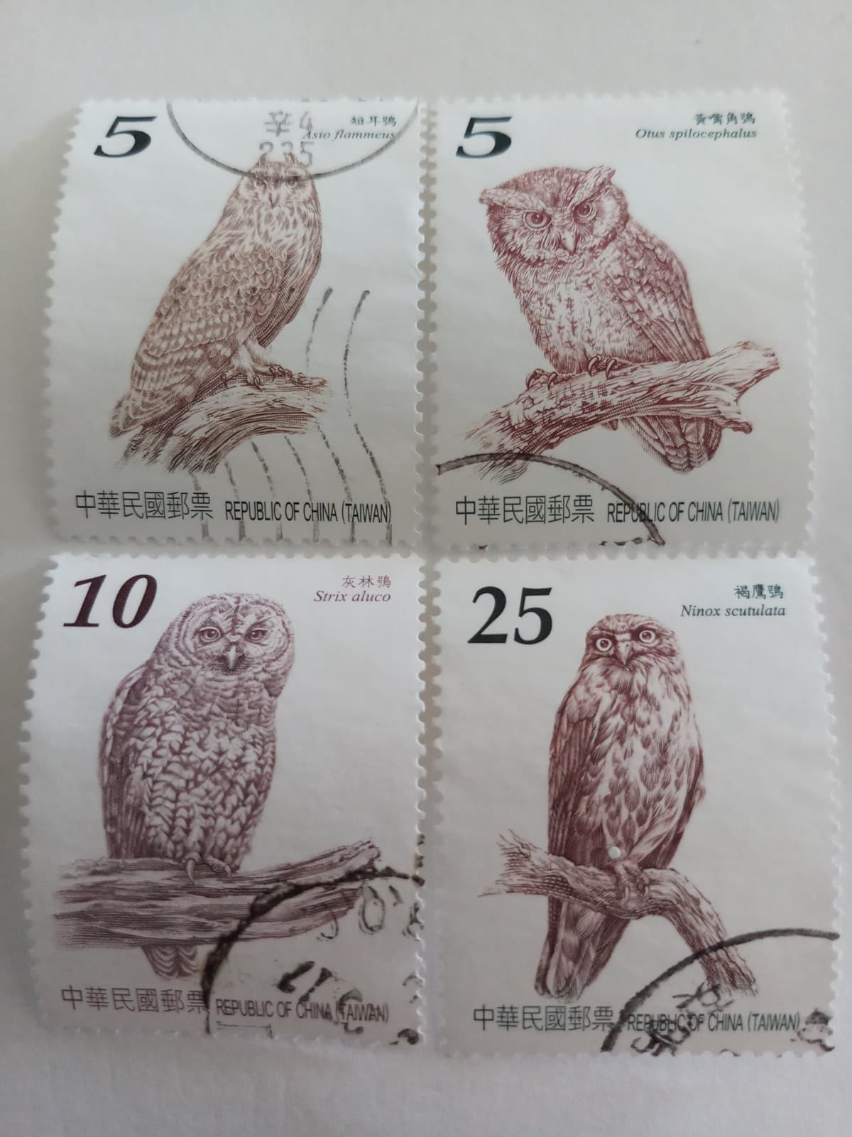 Taiwan Formosa ROC Stamps - Owls Series II 2012 F/VF Used Sc#4051-4