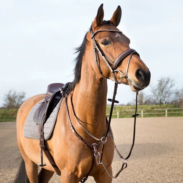 Horze Adjustable Hunting Breastplate - Light Brown Horse 2