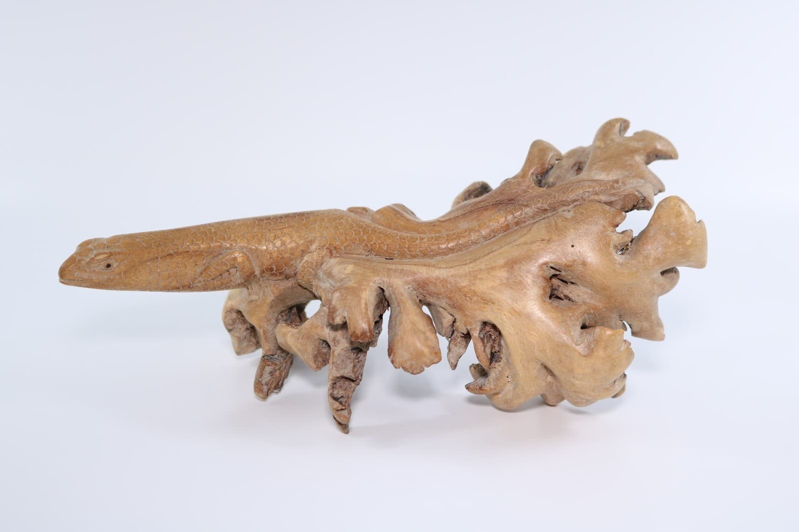 Hand-carved burl wood Komodo Dragon lizard sculpture Indonesia Artisans COA 7063 4