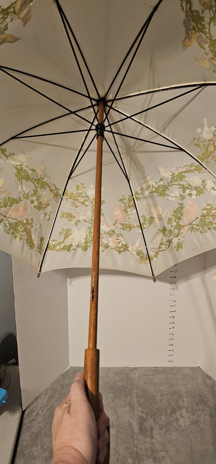 Rare 1988 Nylon The Nature Company Bird Umbrella Vintage Works Wooden Handle 3