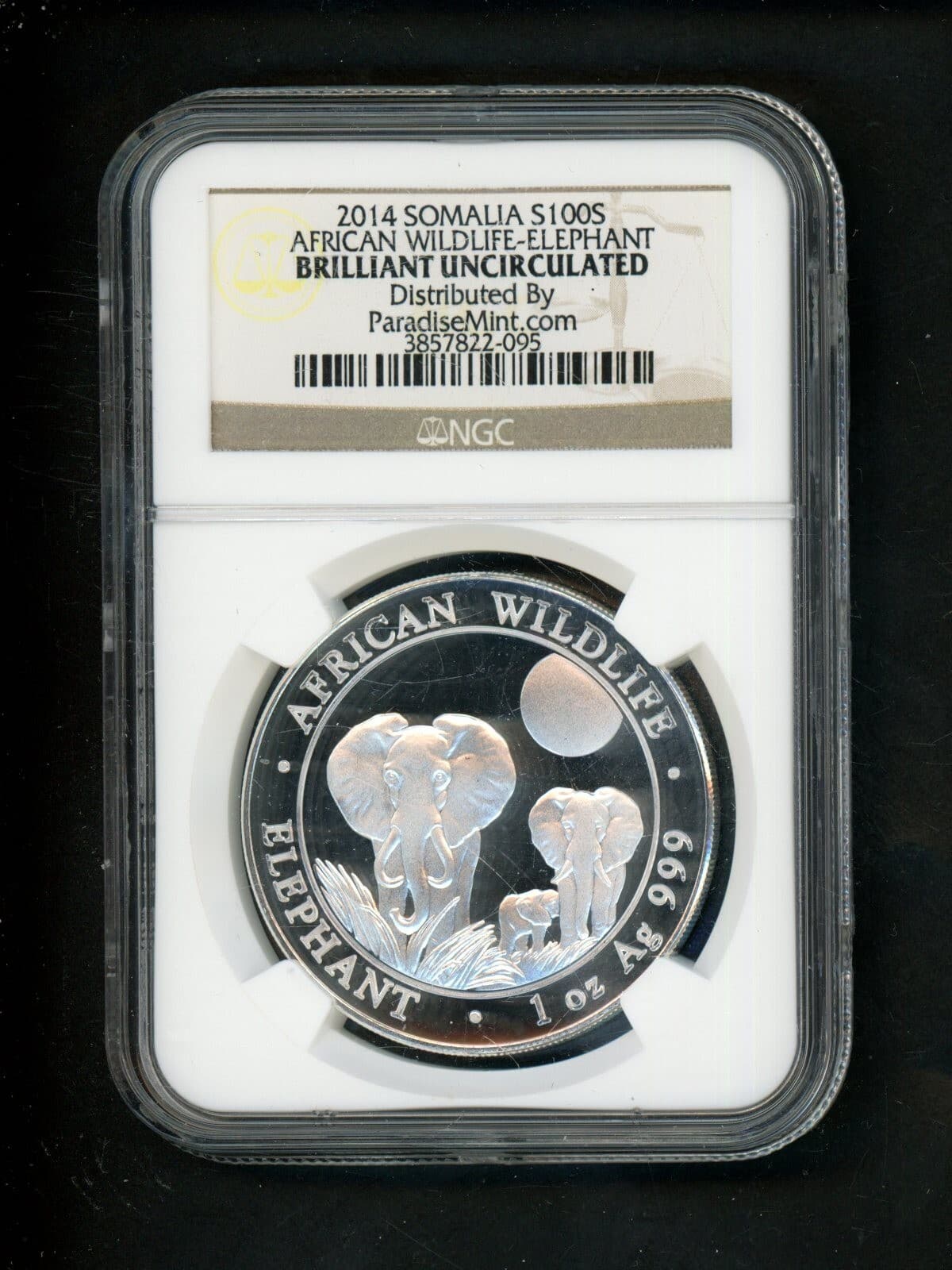Somalia 2014 100 Shillings Silver NGC BRILLIANT UNCIRC African Wildlife Elephant