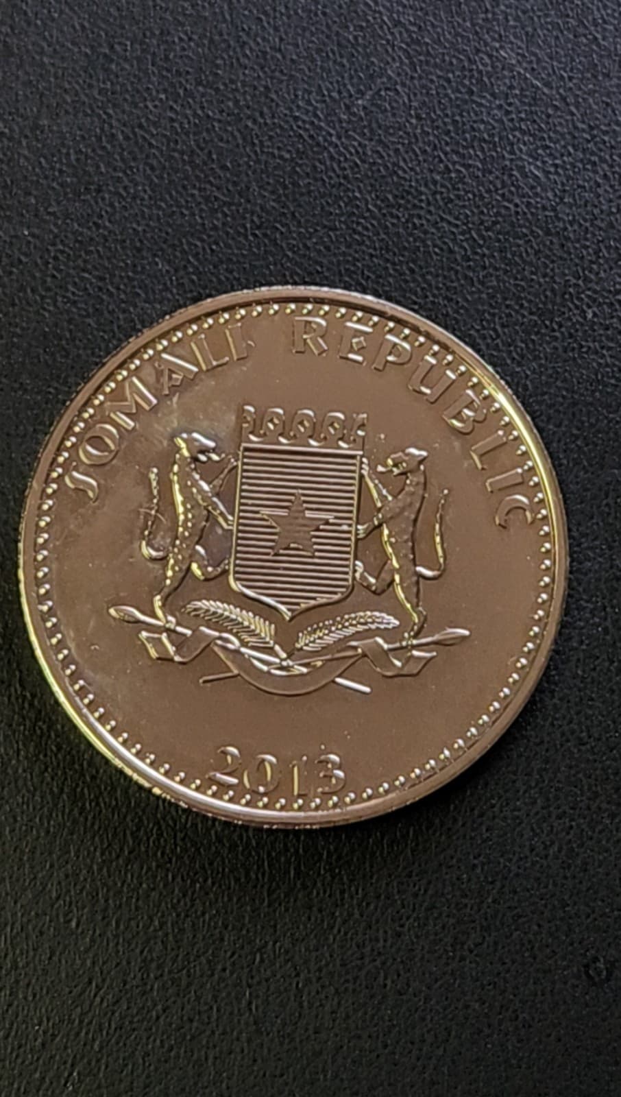 2013 Somali Republic Lion - Animals Lion Somali ~ UNCIRCULATED  2