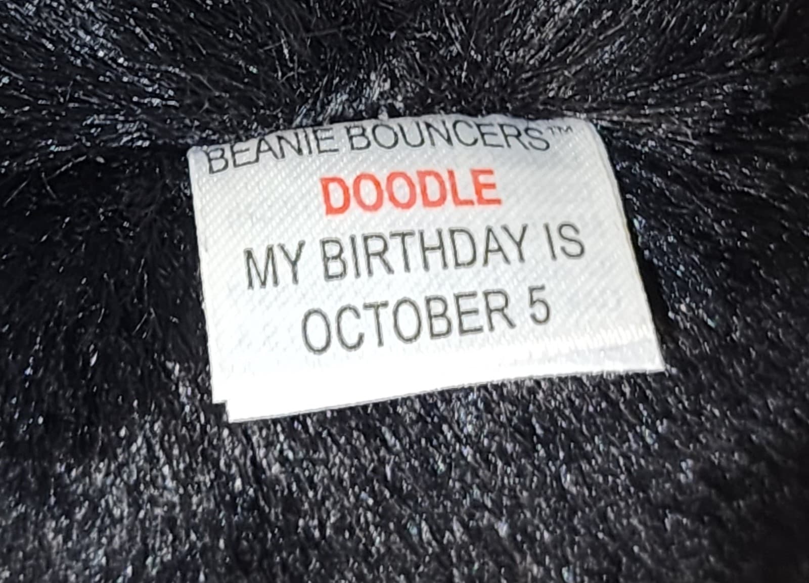 Ty Beanie Bouncers  DOODLE the Boston Terrier Dog (3-4 Inch) NEW Bouncy Ball Toy 6